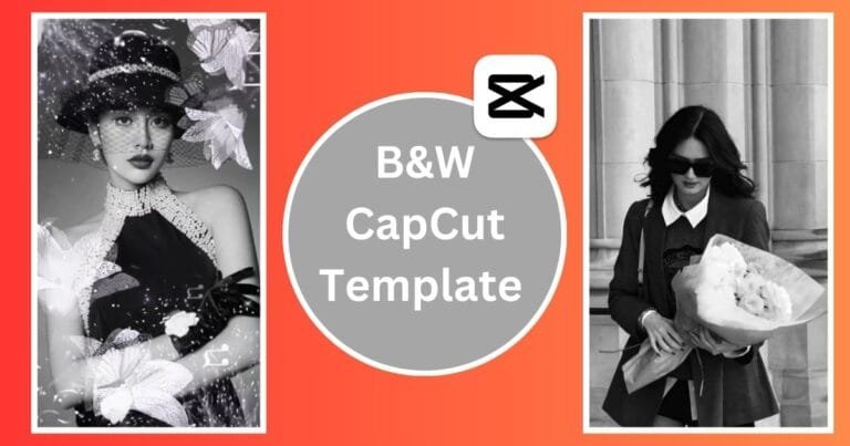 B&W CapCut Template