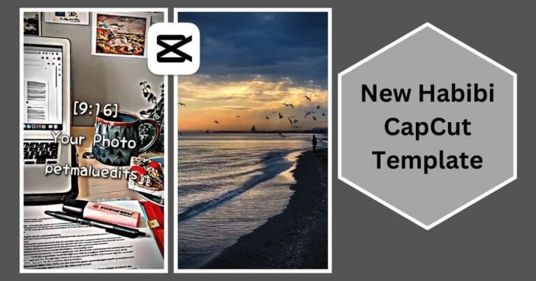 Habibi CapCut Template